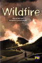 Bookcover: Wildfire